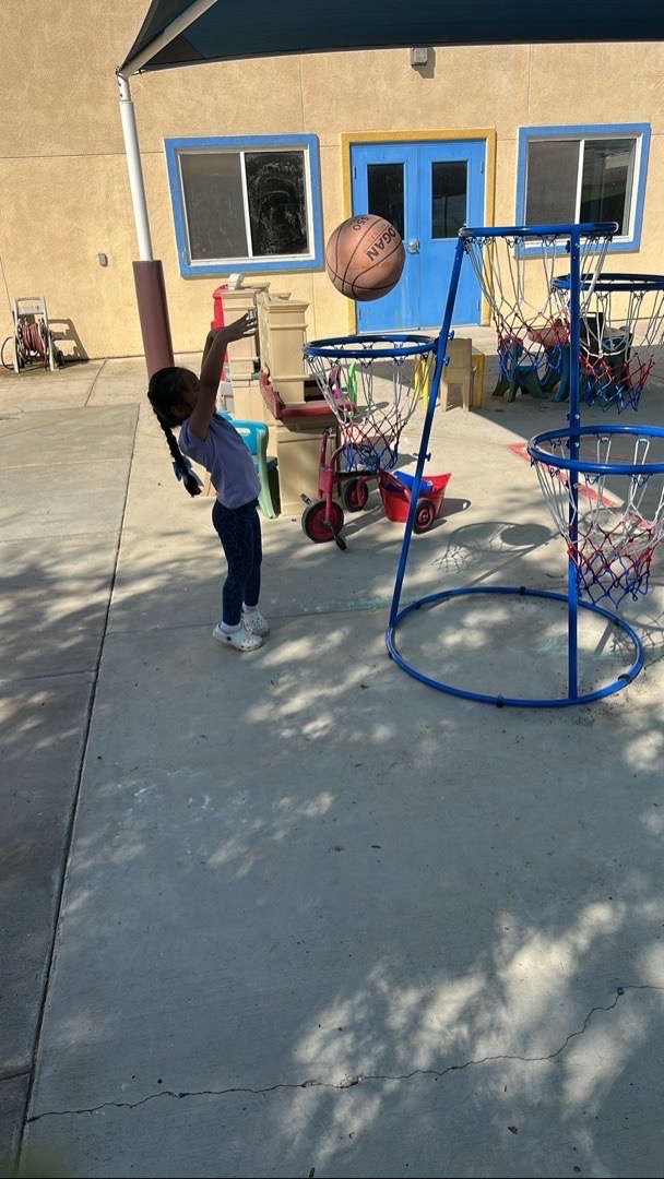 Playground possibilities at Kingston Academy
